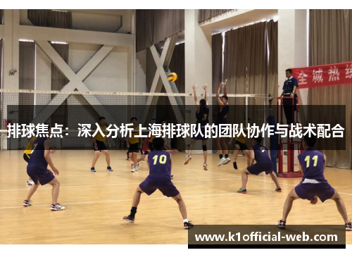 排球焦点：深入分析上海排球队的团队协作与战术配合